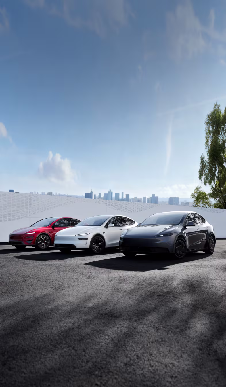 Model Y